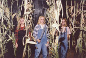 Children of the Corn